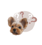 ぴのさんすたんぷ。（個別スタンプ：5）