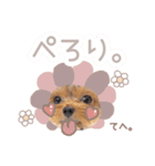 ぴのさんすたんぷ。（個別スタンプ：8）