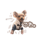 ぴのさんすたんぷ。（個別スタンプ：9）