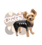 ぴのさんすたんぷ。（個別スタンプ：11）