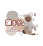 ぴのさんすたんぷ。（個別スタンプ：12）