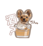ぴのさんすたんぷ。（個別スタンプ：13）