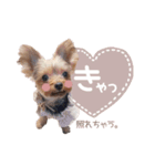 ぴのさんすたんぷ。（個別スタンプ：15）