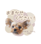 ぴのさんすたんぷ。（個別スタンプ：16）