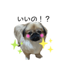 かきぽん（個別スタンプ：3）