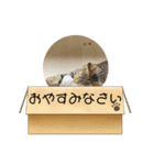 きなこの暮らし（個別スタンプ：8）