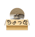 きなこの暮らし（個別スタンプ：18）