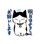 ハチワレ猫ちょび 2（個別スタンプ：1）