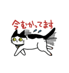 ハチワレ猫ちょび 2（個別スタンプ：8）