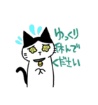 ハチワレ猫ちょび 2（個別スタンプ：13）
