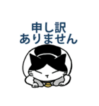 ハチワレ猫ちょび 2（個別スタンプ：16）