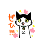 ハチワレ猫ちょび 2（個別スタンプ：18）