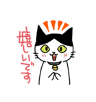 ハチワレ猫ちょび 2（個別スタンプ：20）