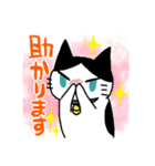 ハチワレ猫ちょび 2（個別スタンプ：23）