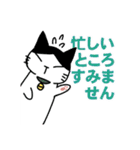 ハチワレ猫ちょび 2（個別スタンプ：28）