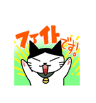 ハチワレ猫ちょび 2（個別スタンプ：30）