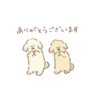 ゆるふわトイプードルの日常（個別スタンプ：5）