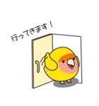 コザクラインコのベリーちゃん3（個別スタンプ：9）