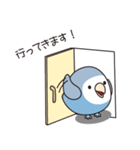 コザクラインコ（ターコイズコバルト）3（個別スタンプ：9）