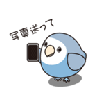 コザクラインコ（ターコイズコバルト）3（個別スタンプ：32）