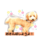 愛犬サニーの毎日（個別スタンプ：11）