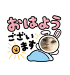 猫のスタンプ第二弾（個別スタンプ：3）