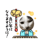 猫のスタンプ第二弾（個別スタンプ：5）