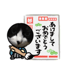 猫のスタンプ第二弾（個別スタンプ：6）