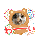 猫のスタンプ第二弾（個別スタンプ：8）