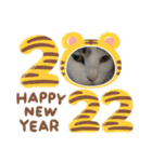 猫のスタンプ第二弾（個別スタンプ：10）