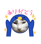 猫のスタンプ第二弾（個別スタンプ：11）