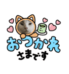 猫のスタンプ第二弾（個別スタンプ：13）