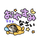 猫のスタンプ第二弾（個別スタンプ：15）