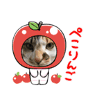 猫のスタンプ第二弾（個別スタンプ：23）