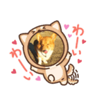 可愛いコーギーちゃん（個別スタンプ：3）