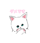 しろねこ にゃーにゃ①（個別スタンプ：4）