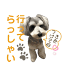 うみのスタンプNo2（個別スタンプ：11）