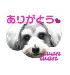 うみのスタンプNo2（個別スタンプ：15）