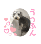うみのスタンプNo2（個別スタンプ：19）