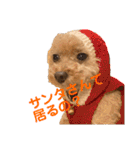 poohの年末年始（個別スタンプ：4）