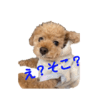 poohの年末年始（個別スタンプ：5）