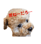 poohの年末年始（個別スタンプ：6）