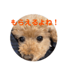 poohの年末年始（個別スタンプ：9）