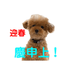 poohの年末年始（個別スタンプ：16）