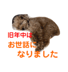 poohの年末年始（個別スタンプ：17）