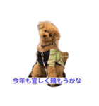 poohの年末年始（個別スタンプ：18）