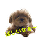 poohの年末年始（個別スタンプ：22）