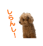 poohの年末年始（個別スタンプ：27）