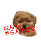 poohの年末年始（個別スタンプ：31）