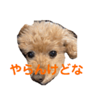 poohの年末年始（個別スタンプ：32）